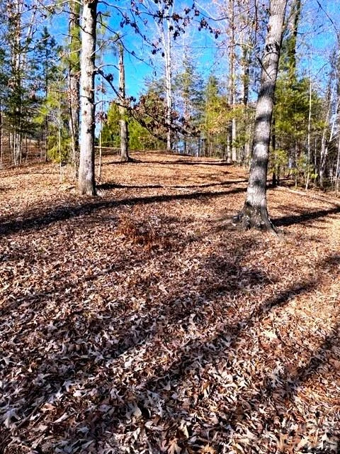 Lot 17-4 Coast Drive - Photo 4
