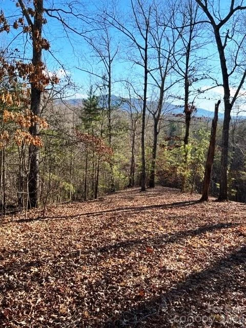 Lot 17-4 Coast Drive - Photo 6