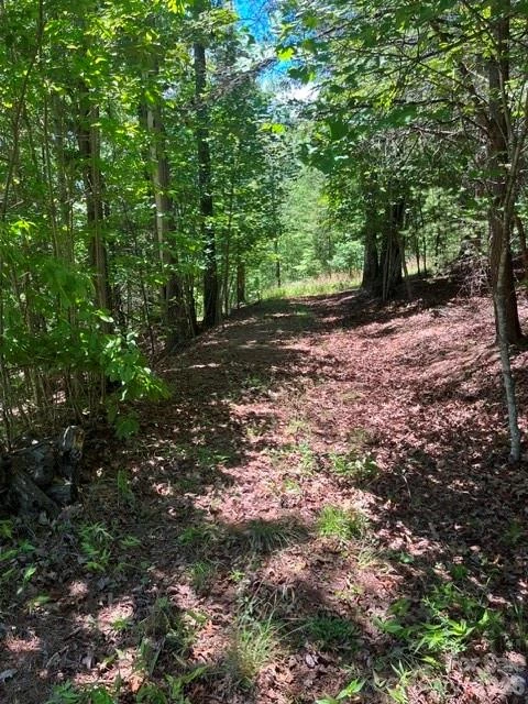 Lot 17-4 Coast Drive - Photo 7
