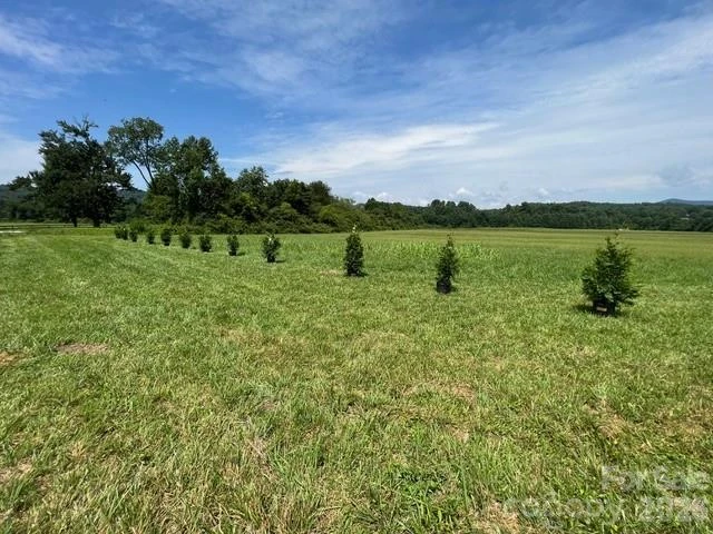 Mini Farm 2 & 3 TBD Coventry Drive - Photo 18