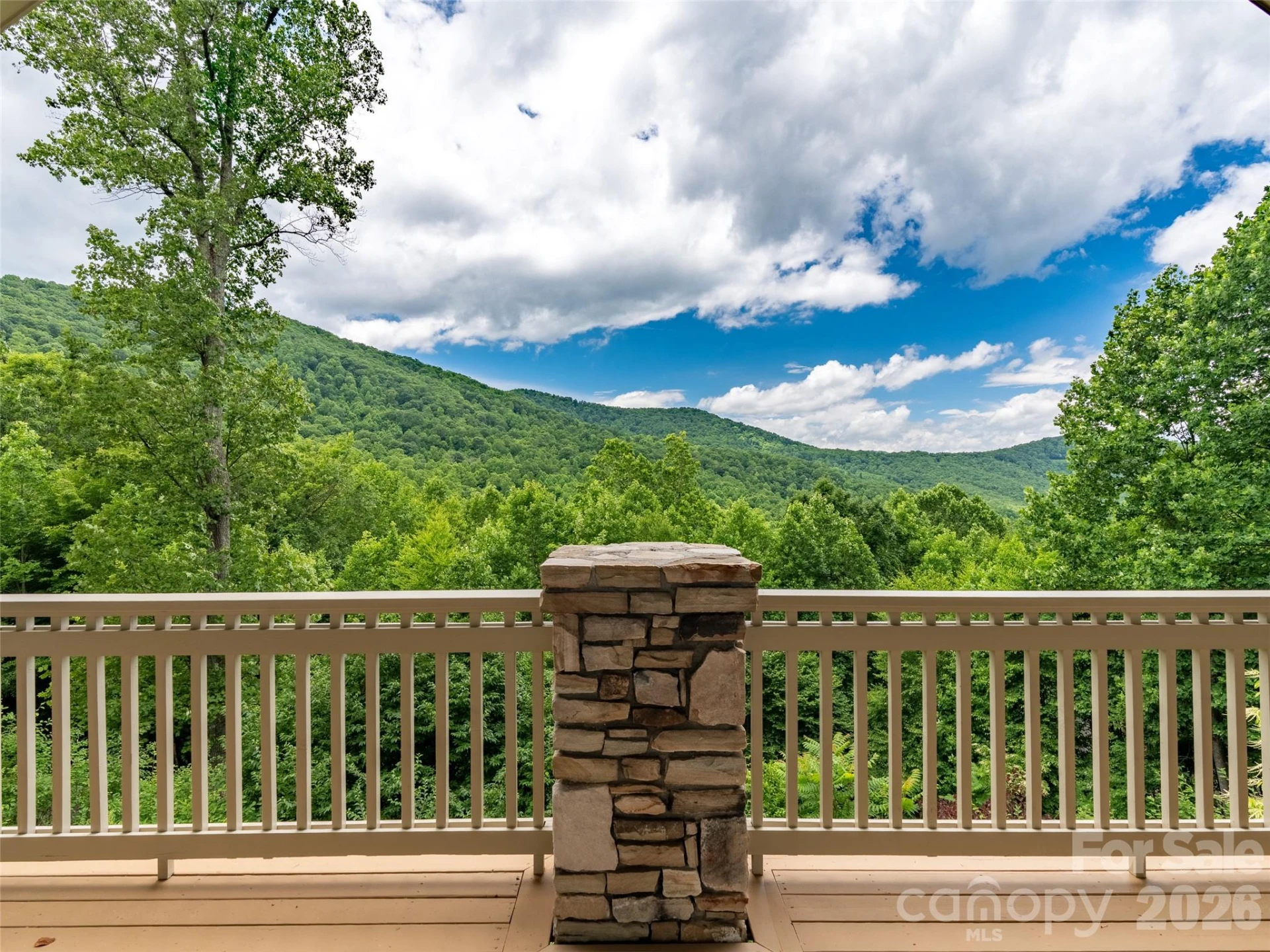 890 Stoney Stream Lane - Photo 5