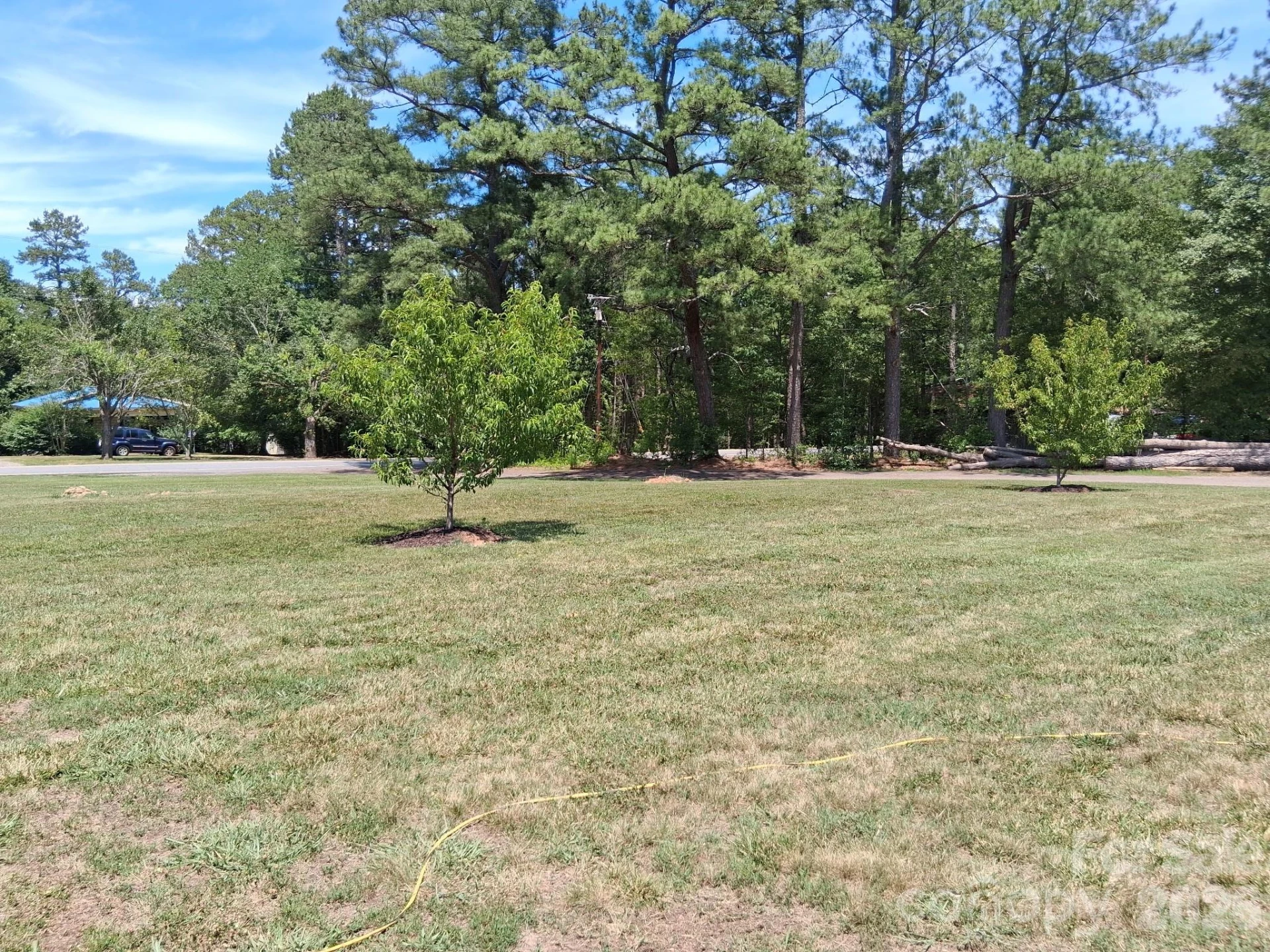 1415 Old US 221A Highway - Photo 3