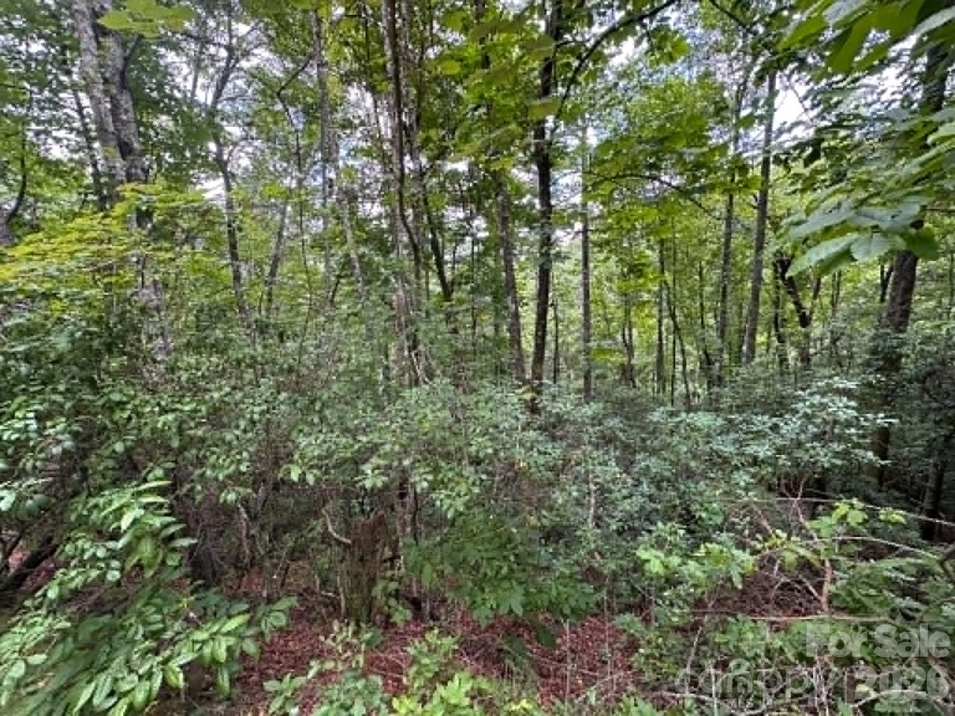 Lot 26 Pleasant View Drive - Photo 5