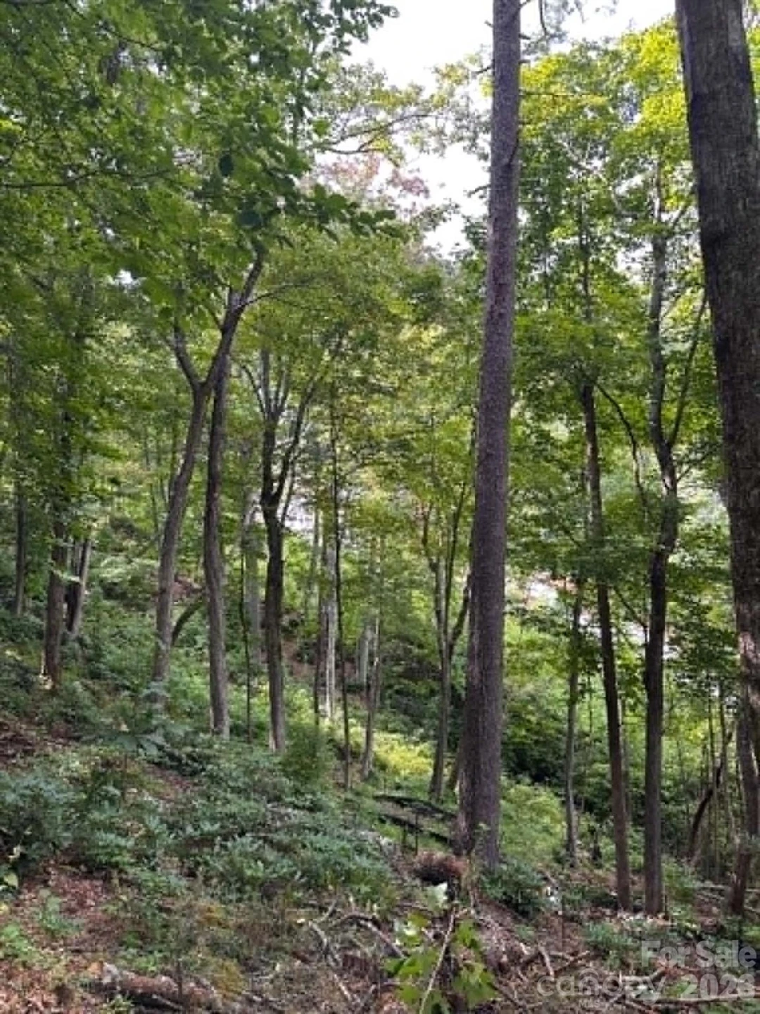 Lot 26 Pleasant View Drive - Photo 7