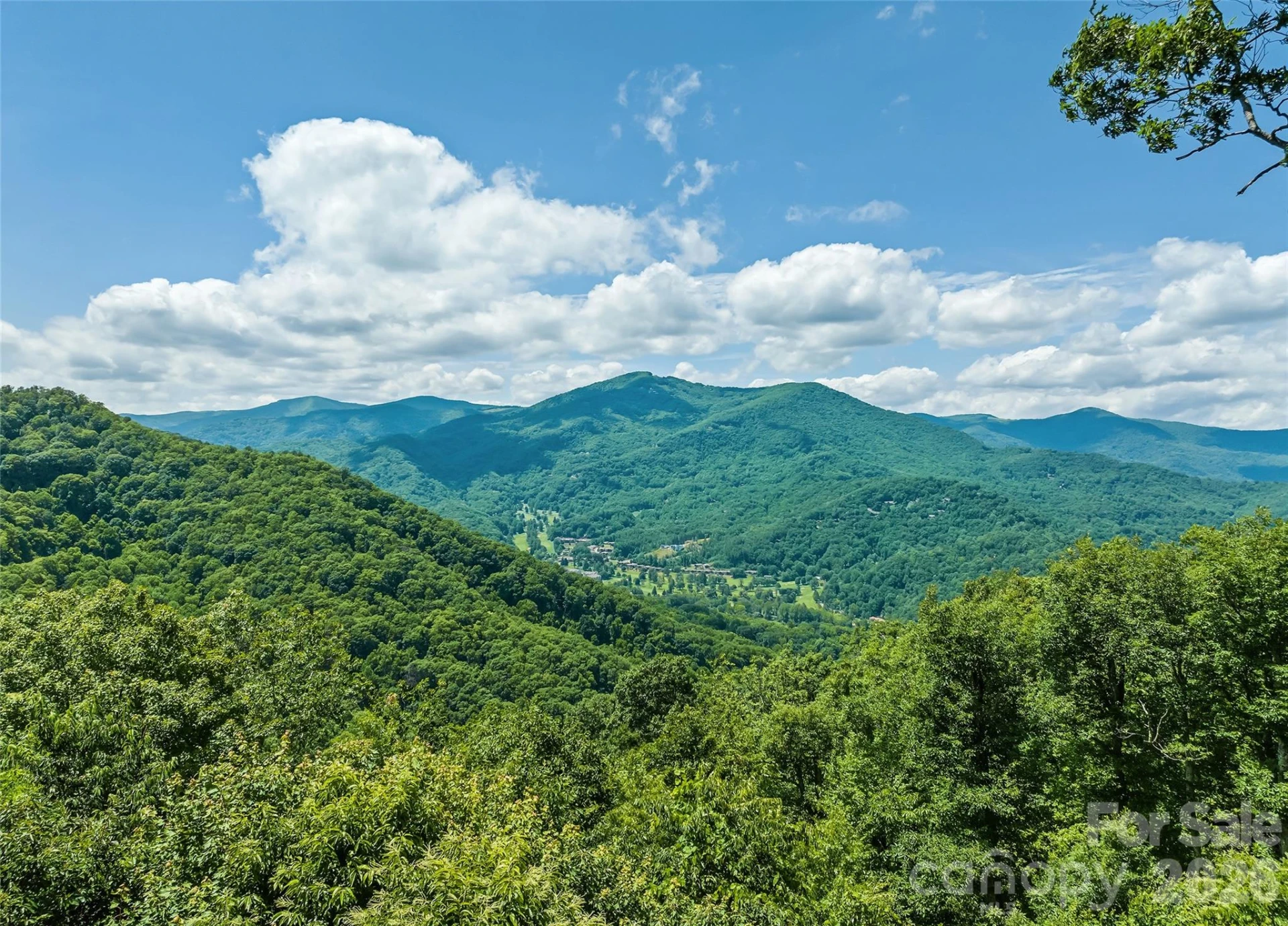207 Walela Trail - Photo 3