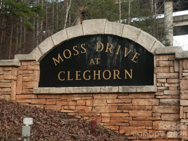 00 Moss Drive, Rutherfordton, NC, 28139