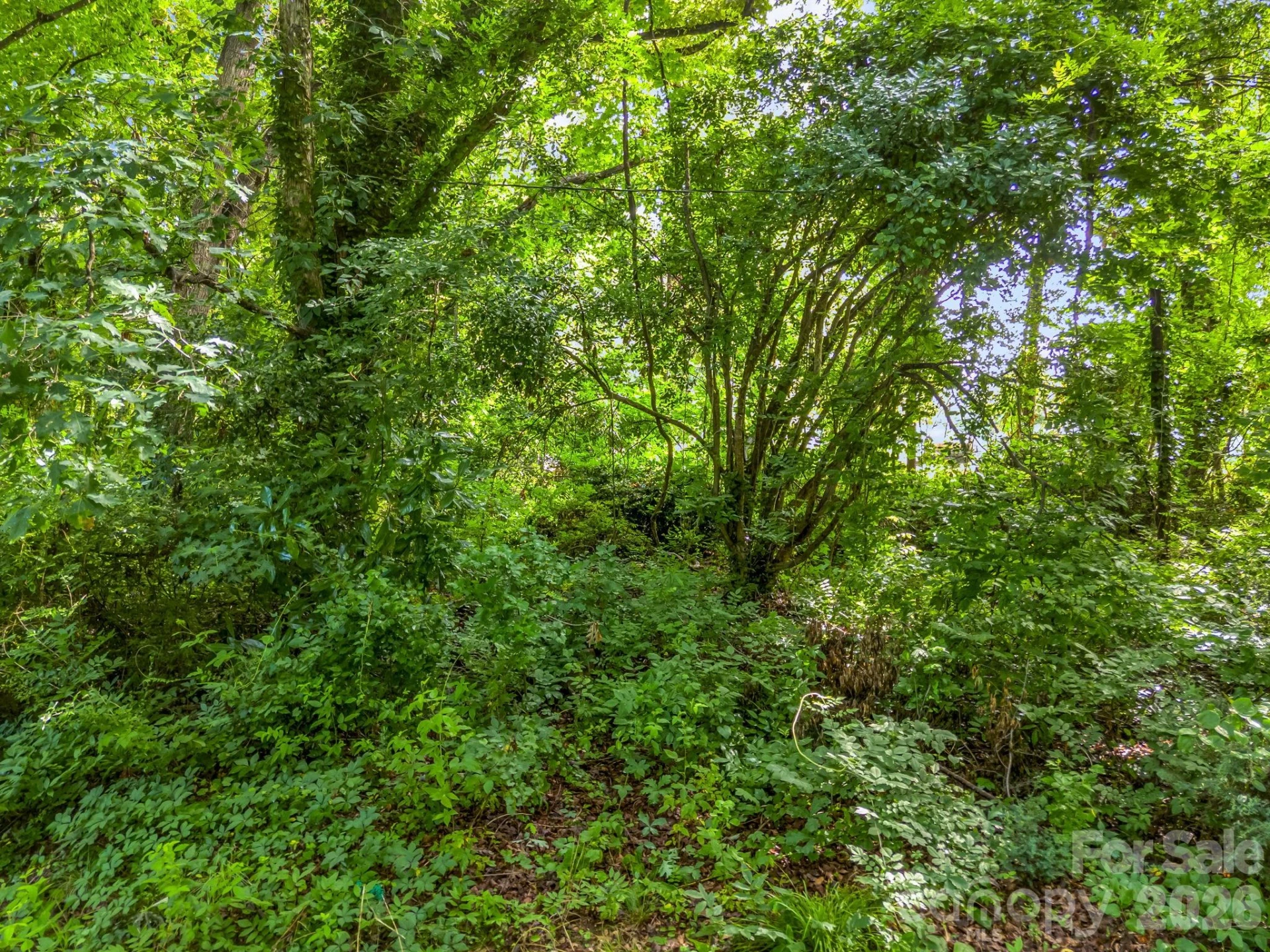 126 Bittle Street - Photo 28