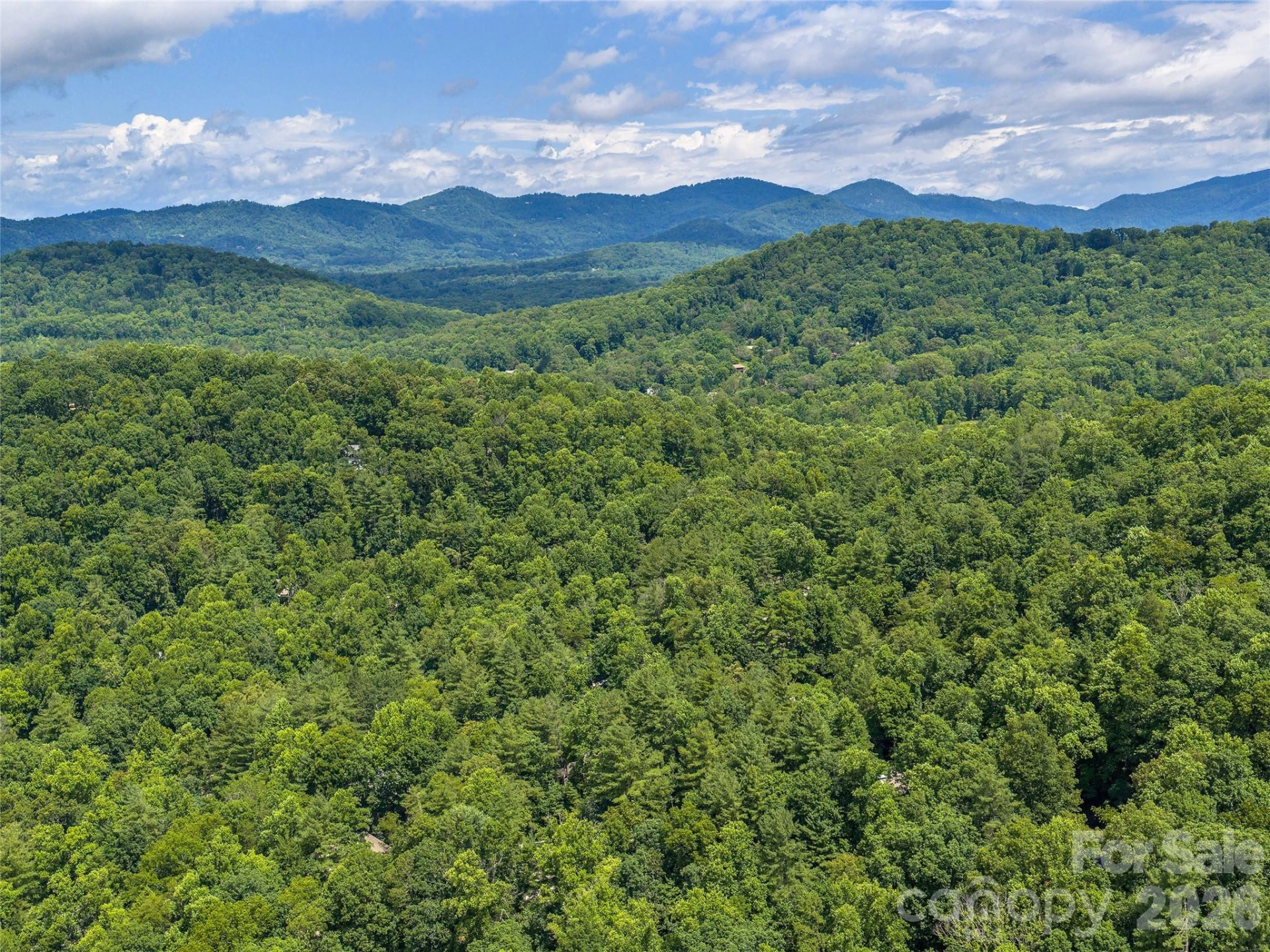 23 Cedarwood Trail #B - Photo 32