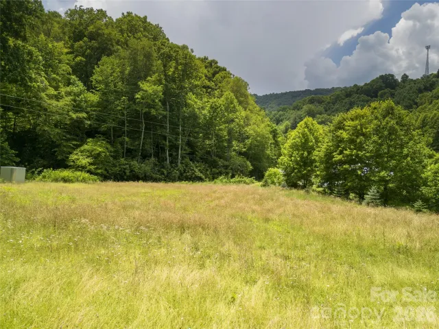 168 Smith Creek Road, Mars Hill, NC, 28754