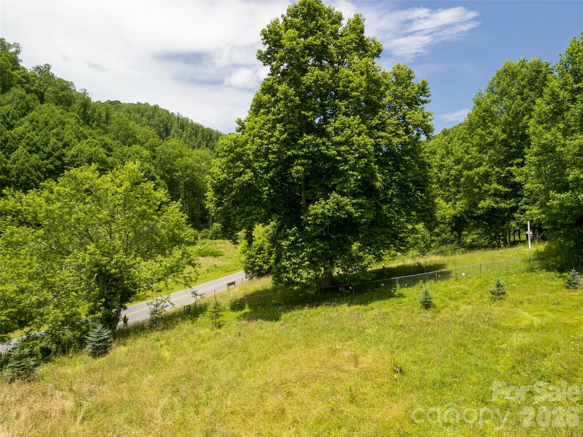 168 Smith Creek Road - Photo 2