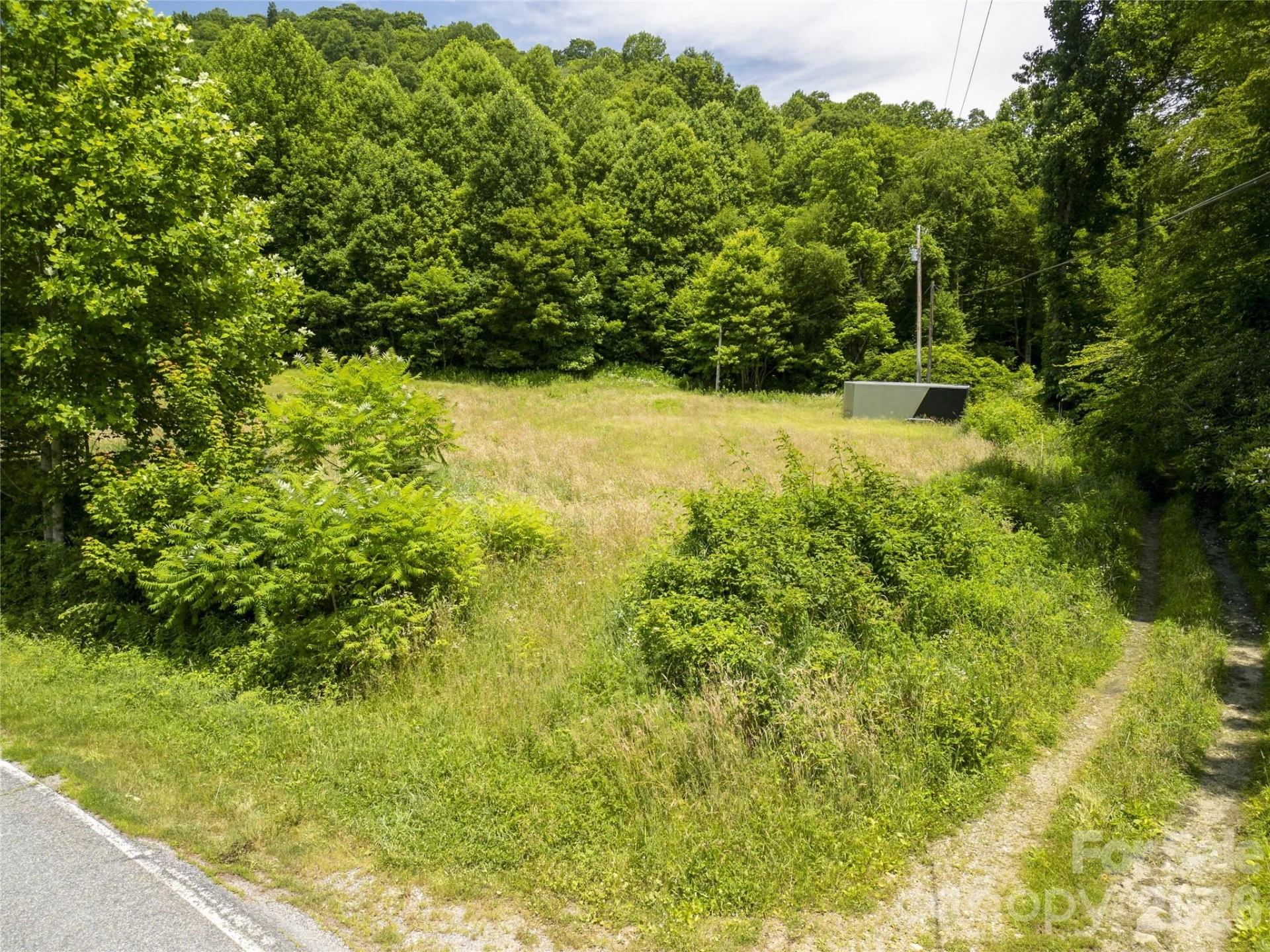 168 Smith Creek Road - Photo 11