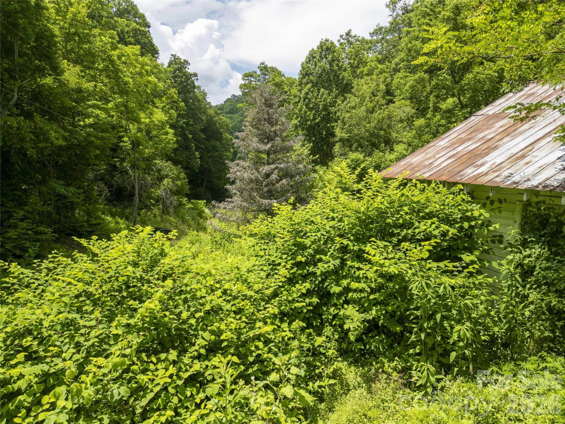 168 Smith Creek Road - Photo 20