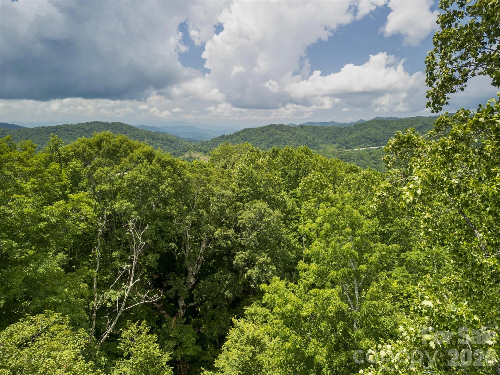 168 Smith Creek Road - Photo 42