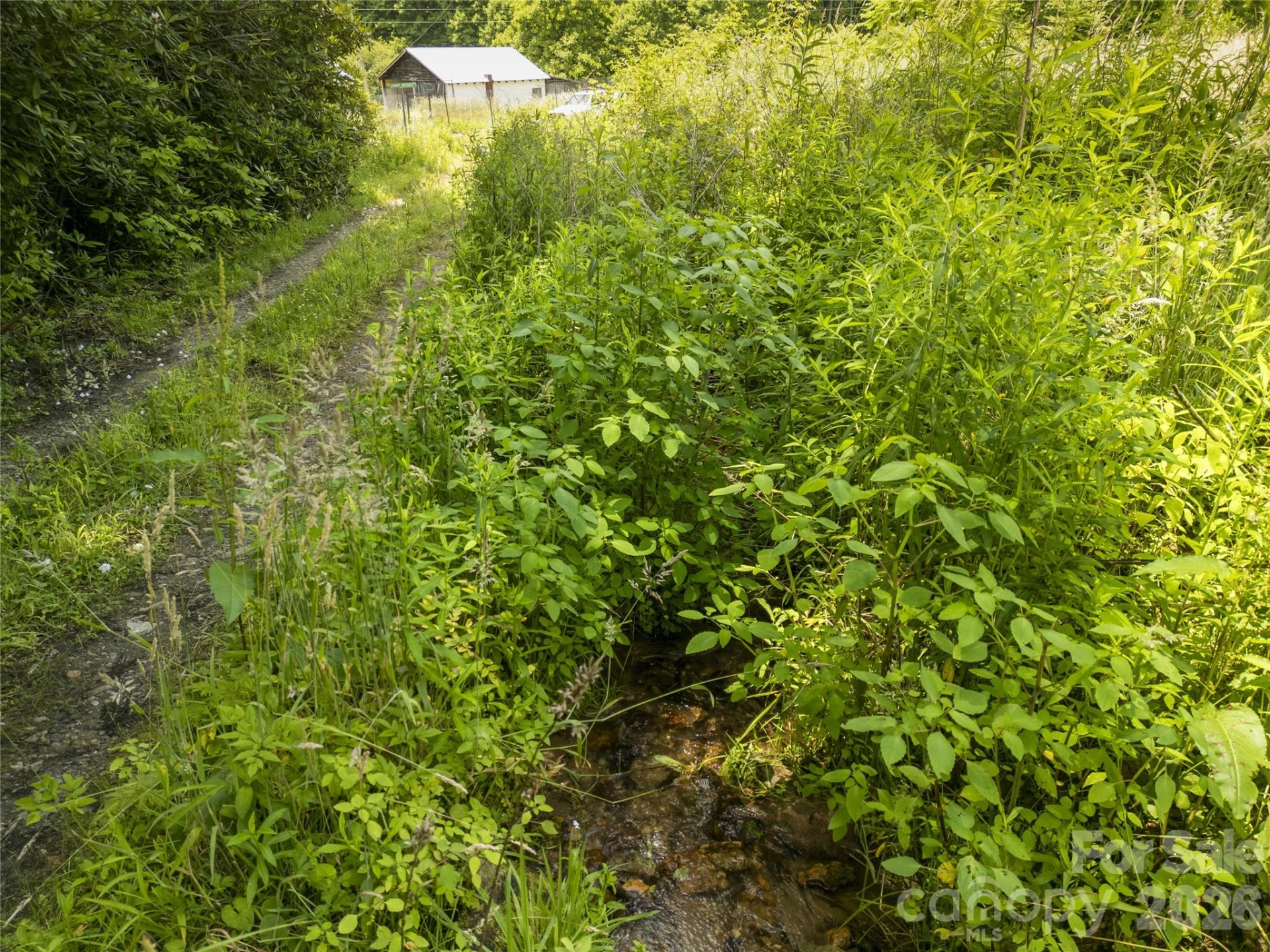 168 Smith Creek Road - Photo 43