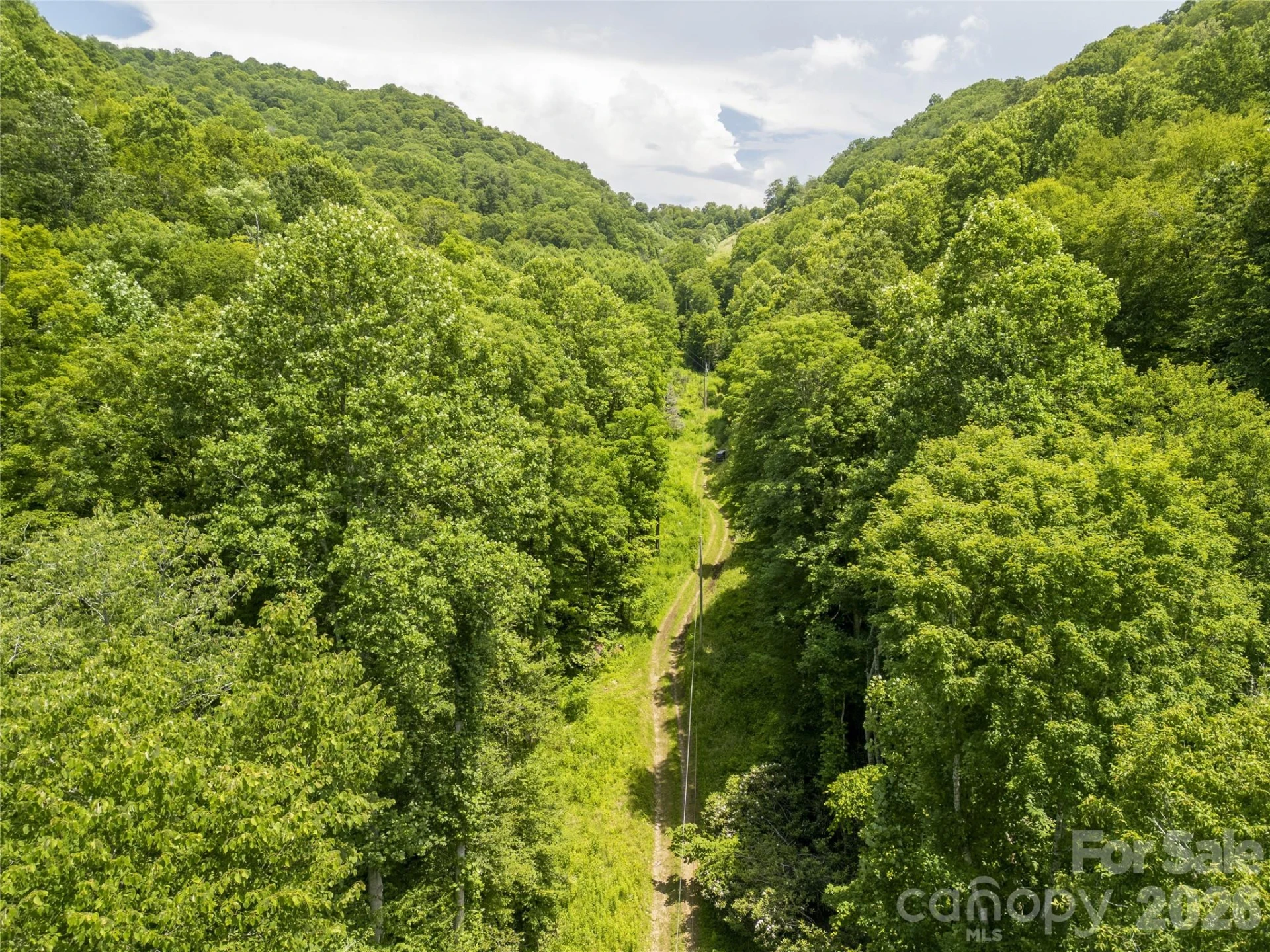 168 Smith Creek Road - Photo 44