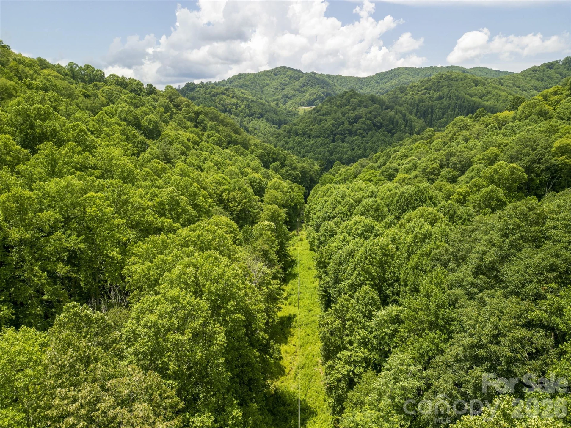 168 Smith Creek Road - Photo 45