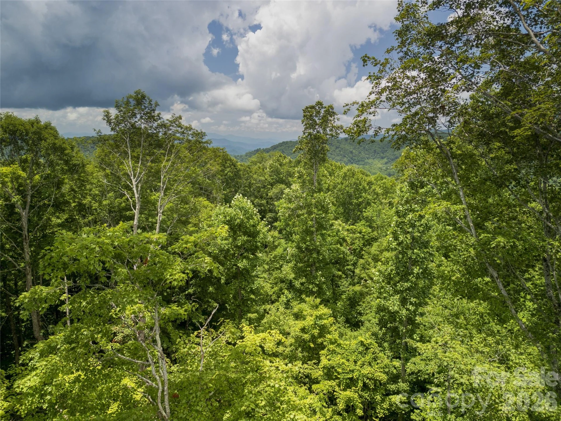 168 Smith Creek Road - Photo 46