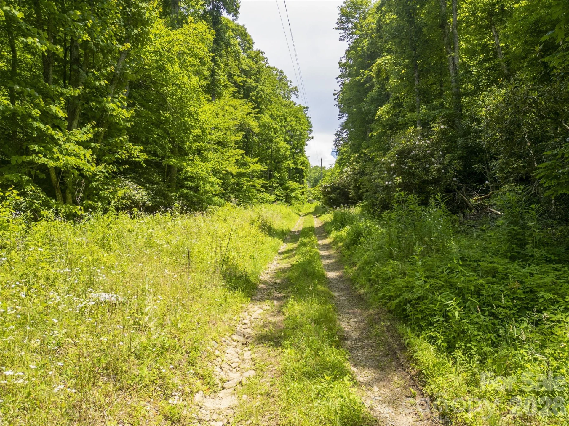 168 Smith Creek Road - Photo 6