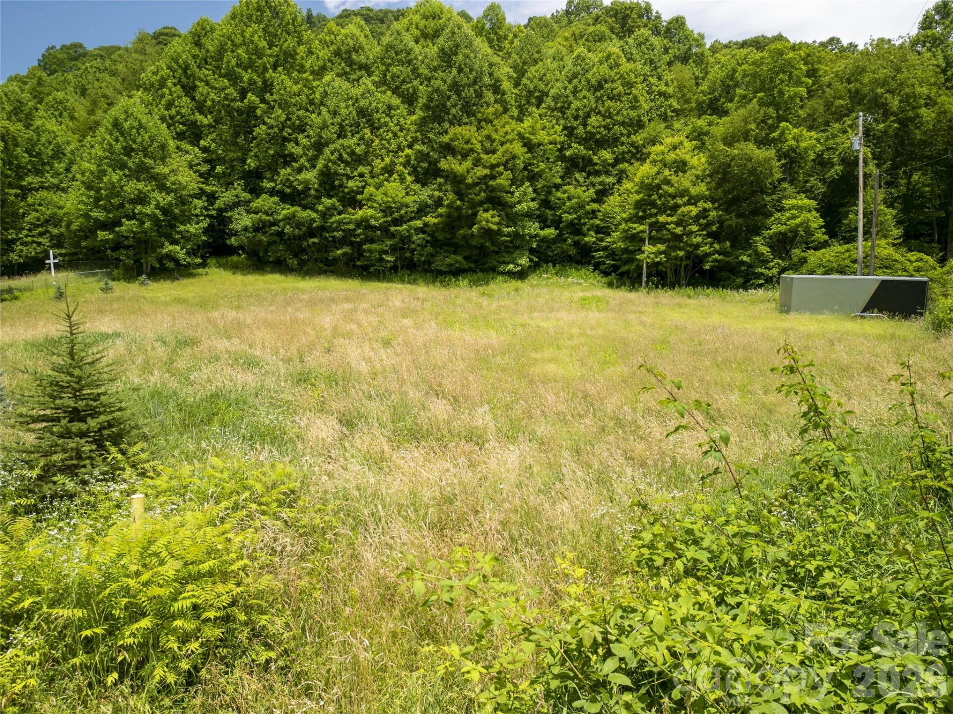 168 Smith Creek Road - Photo 8