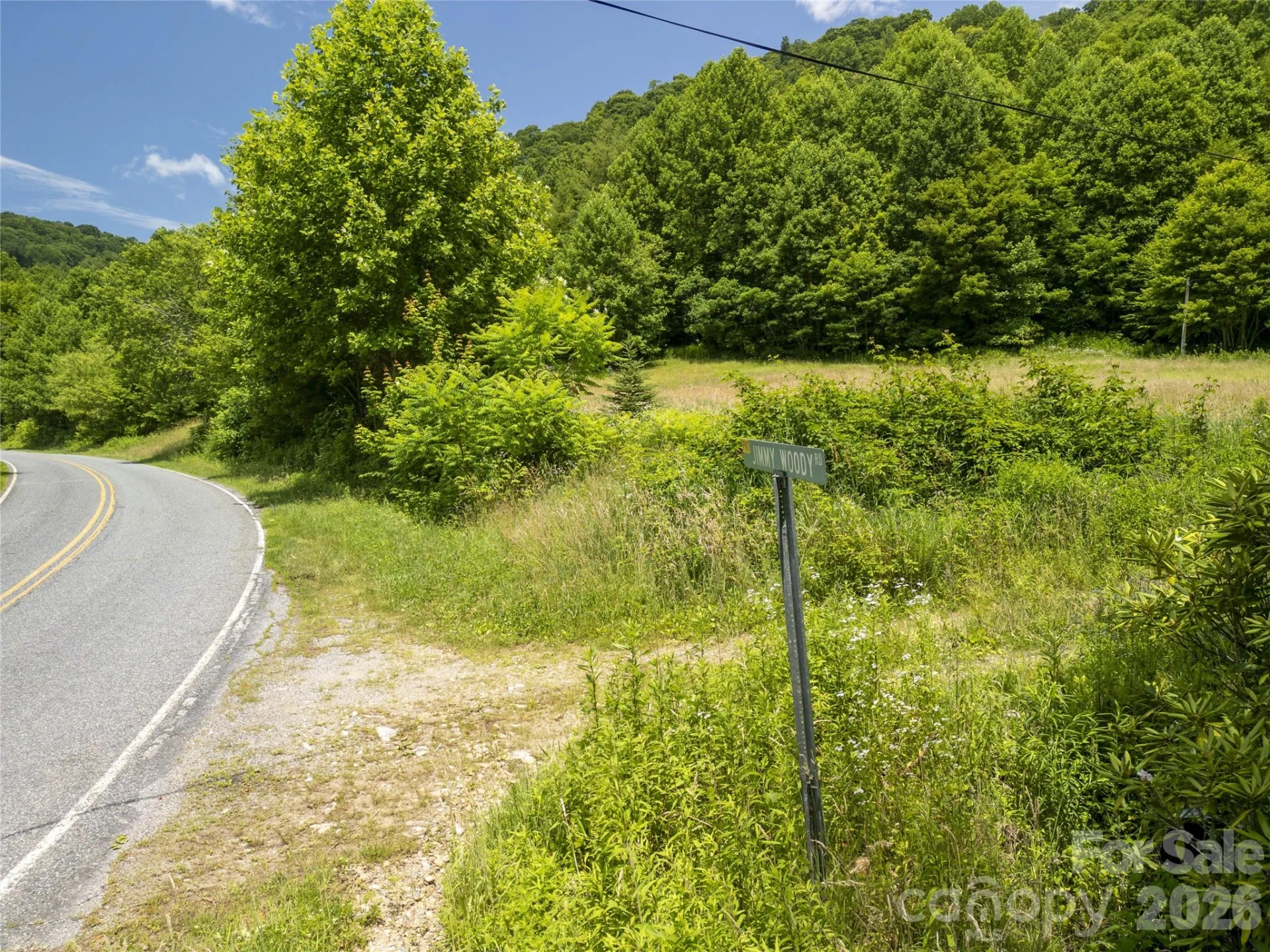 168 Smith Creek Road - Photo 9