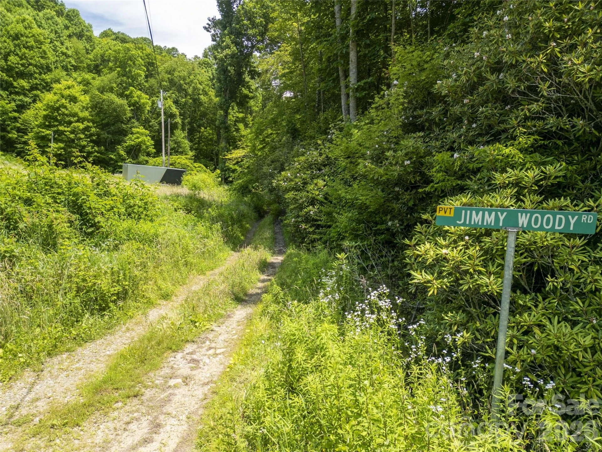 168 Smith Creek Road - Photo 10