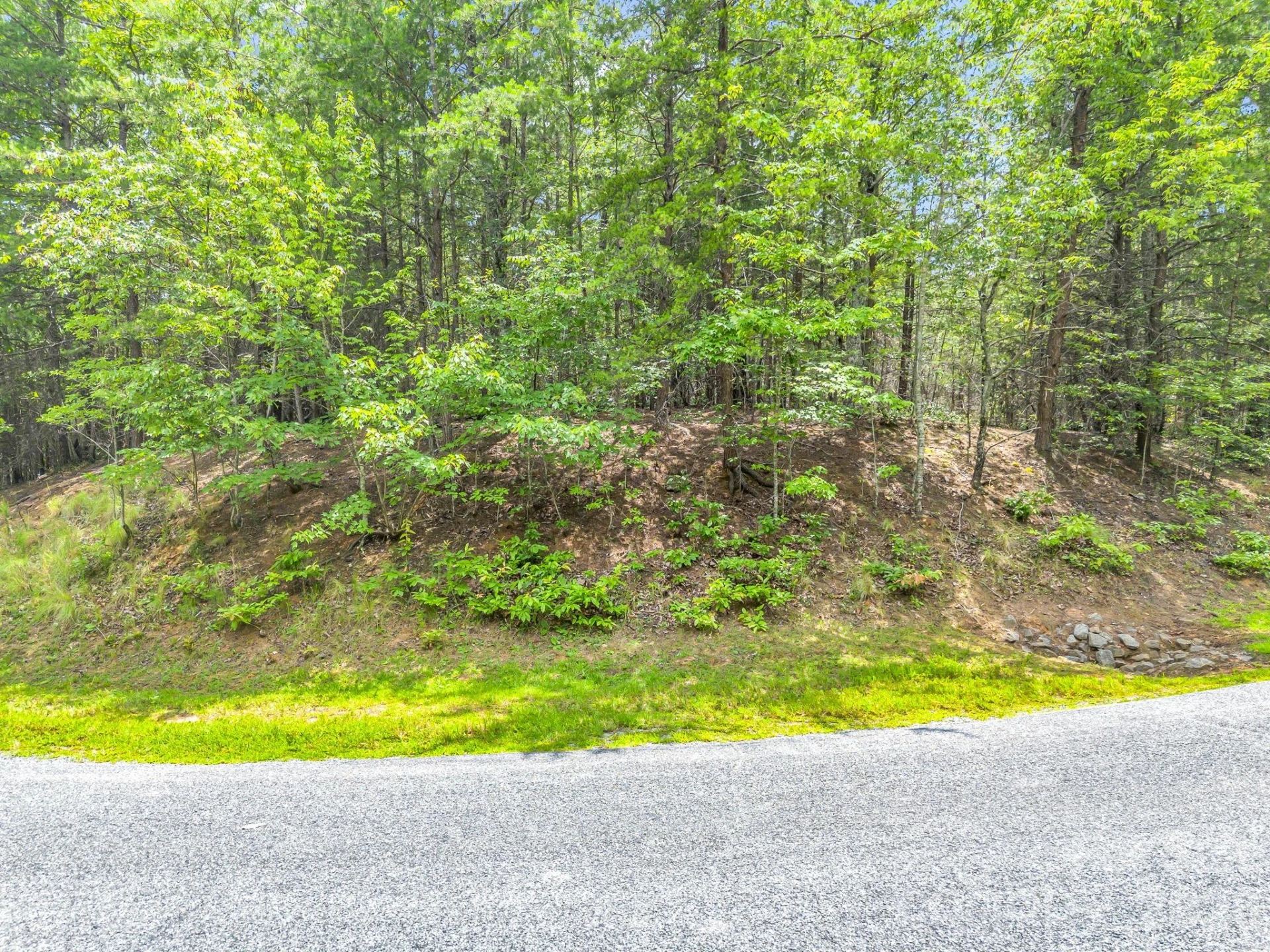 0 North Park Lane #33 - Photo 8