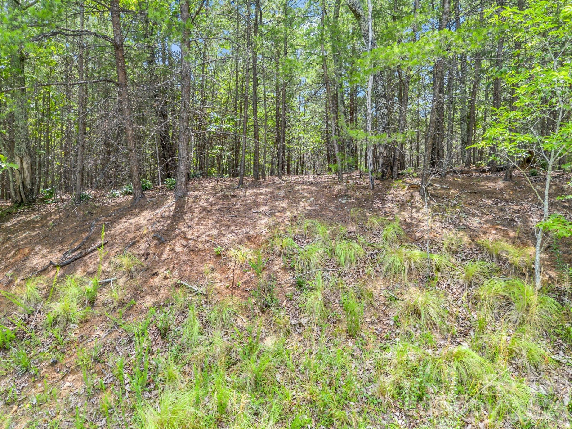 0 North Park Lane #33 - Photo 9