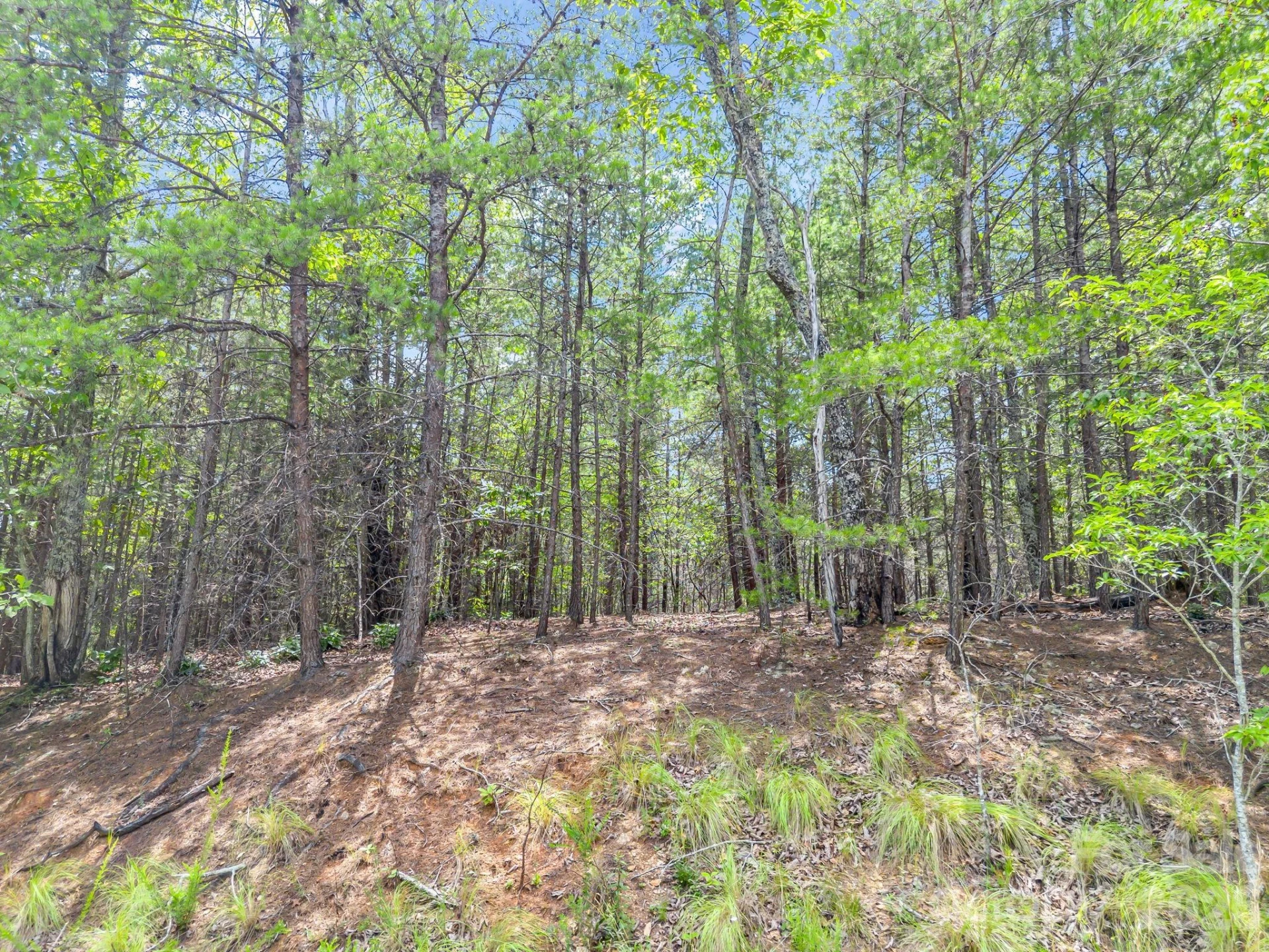 0 North Park Lane #33 - Photo 10