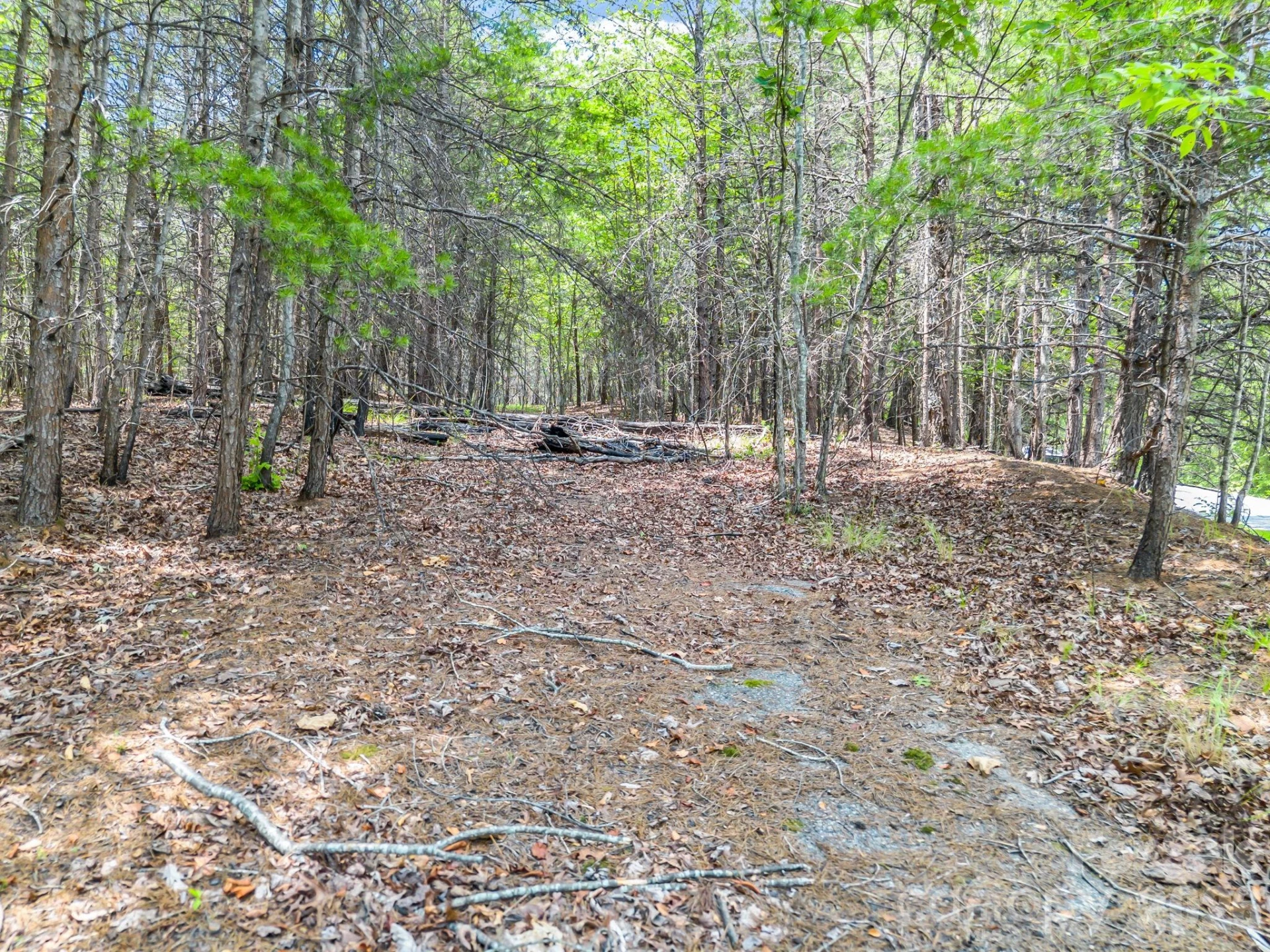 0 North Park Lane #33 - Photo 13