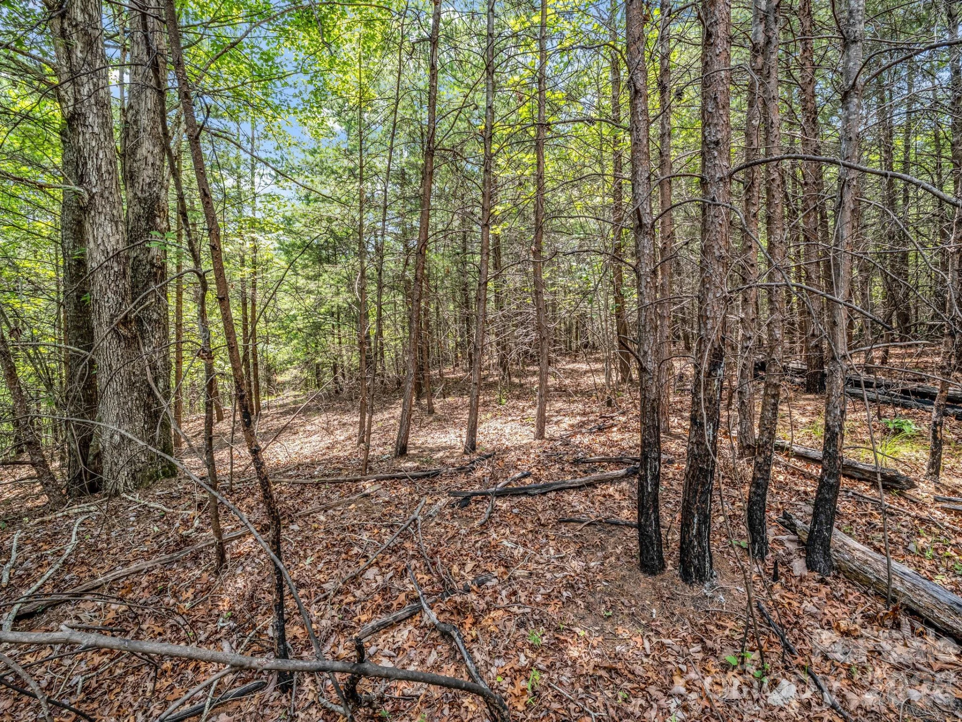 0 North Park Lane #33 - Photo 15