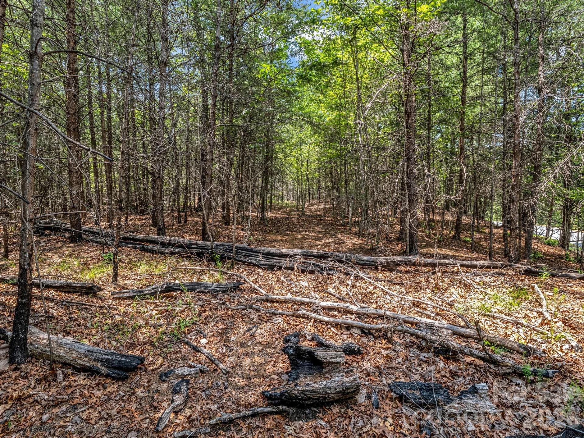 0 North Park Lane #33 - Photo 16