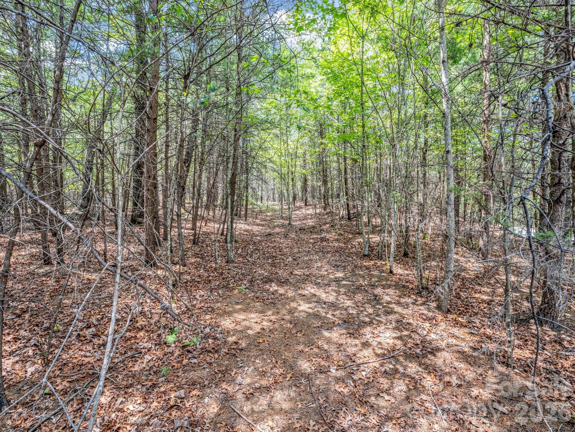 0 North Park Lane #33 - Photo 17