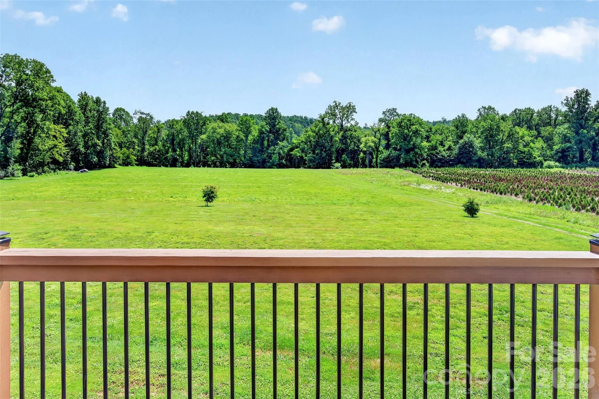 768 Lake Tahoma Road - Photo 25