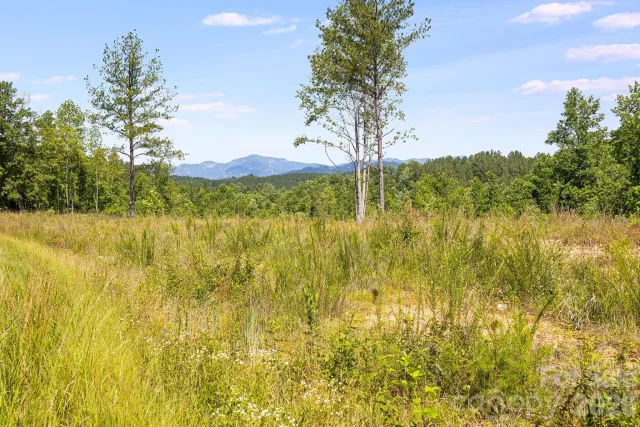 Lot #2 Clark Road, Rutherfordton, NC, 28139