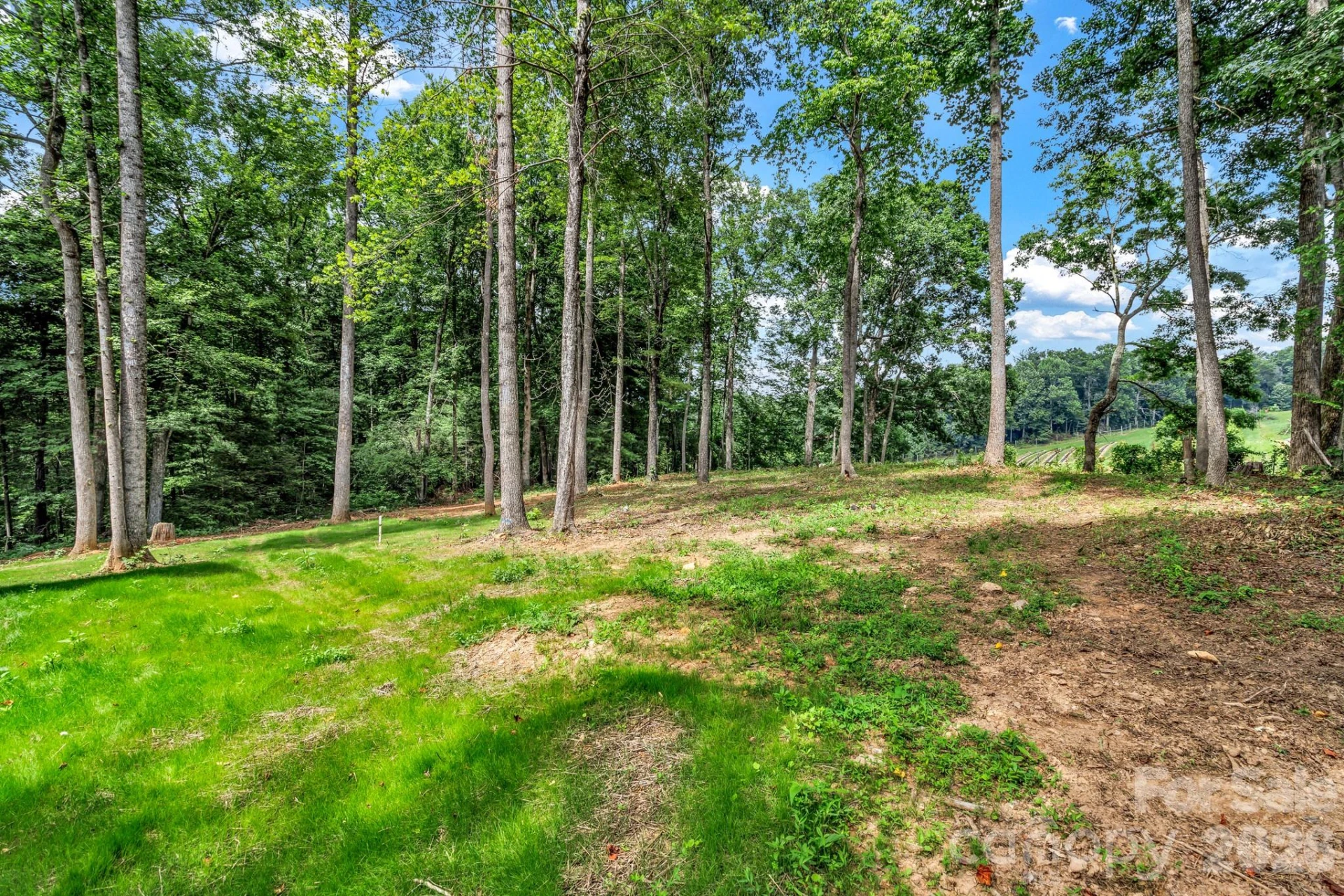 80 Goldenwood Lane - Photo 45