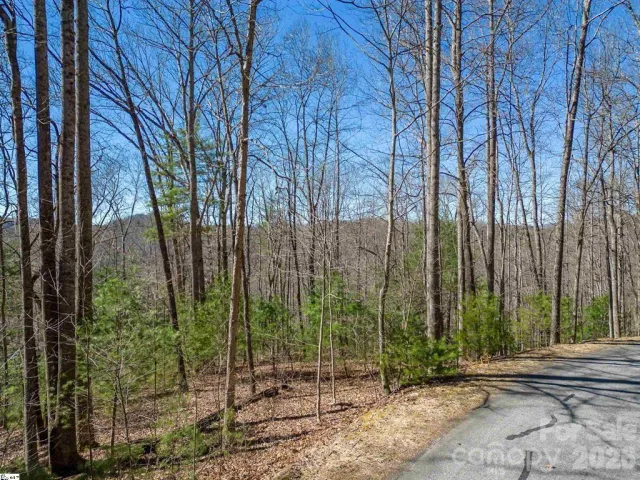 132 Overlook Park Drive, Hendersonville, NC, 28792