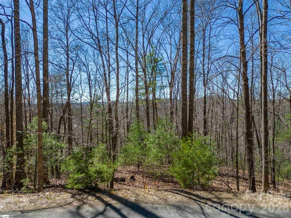 132 Overlook Park Drive #51 - Photo 2