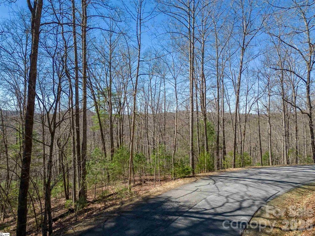 132 Overlook Park Drive #51 - Photo 11