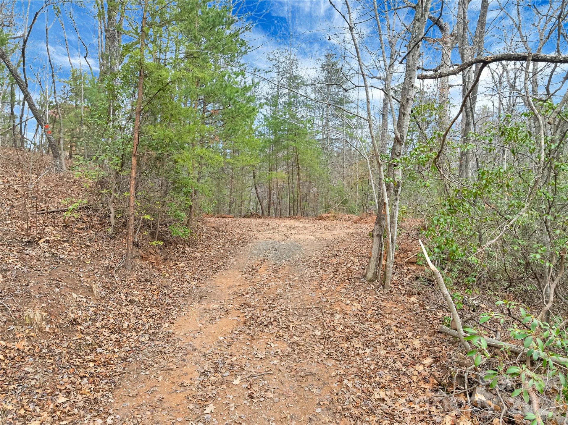 TBD Deep Woods Lane #102