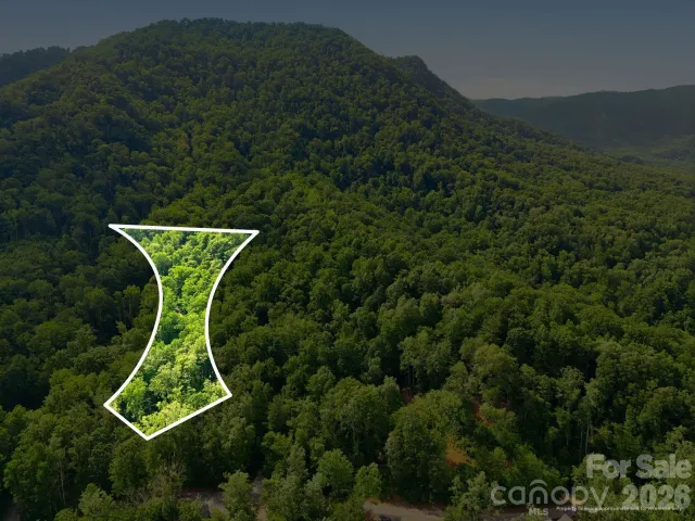 0000 Rocky Branch Trail, Marion, NC, 28752