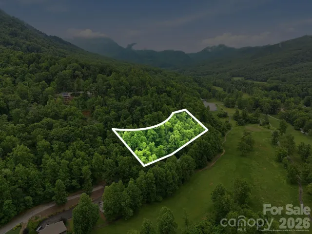 9999 Blue Ridge Drive S, Marion, NC, 28765