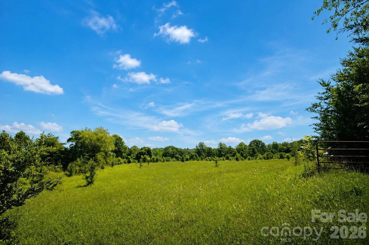 360 Davenport Road - Photo 5