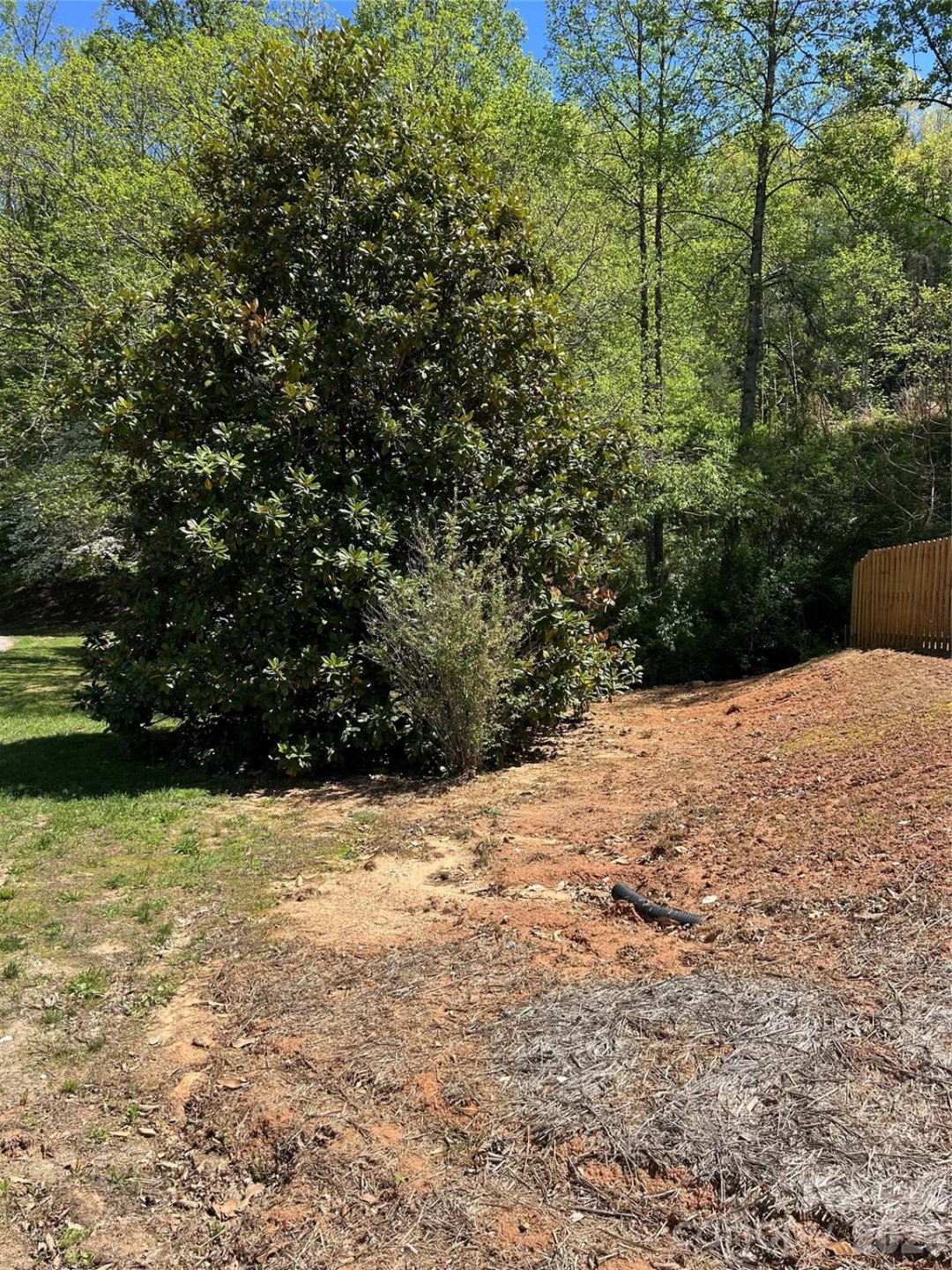 128 Orchard Street - Photo 8