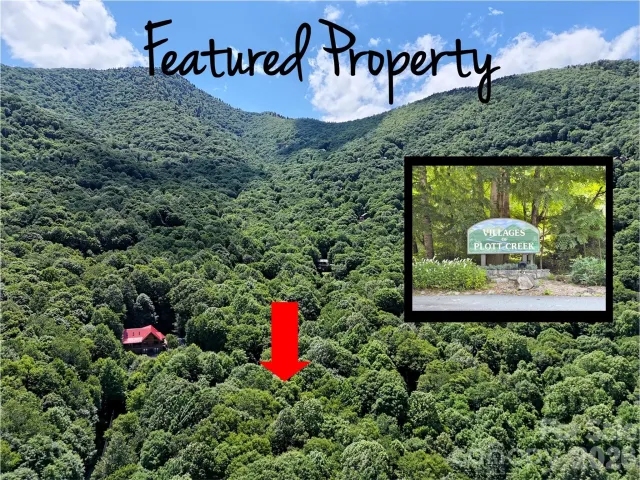 0 Serenity Mountain Road, Waynesville, NC, 28786