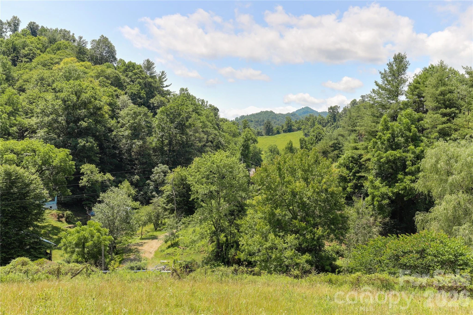 435 Mountain Cove Road - Photo 7