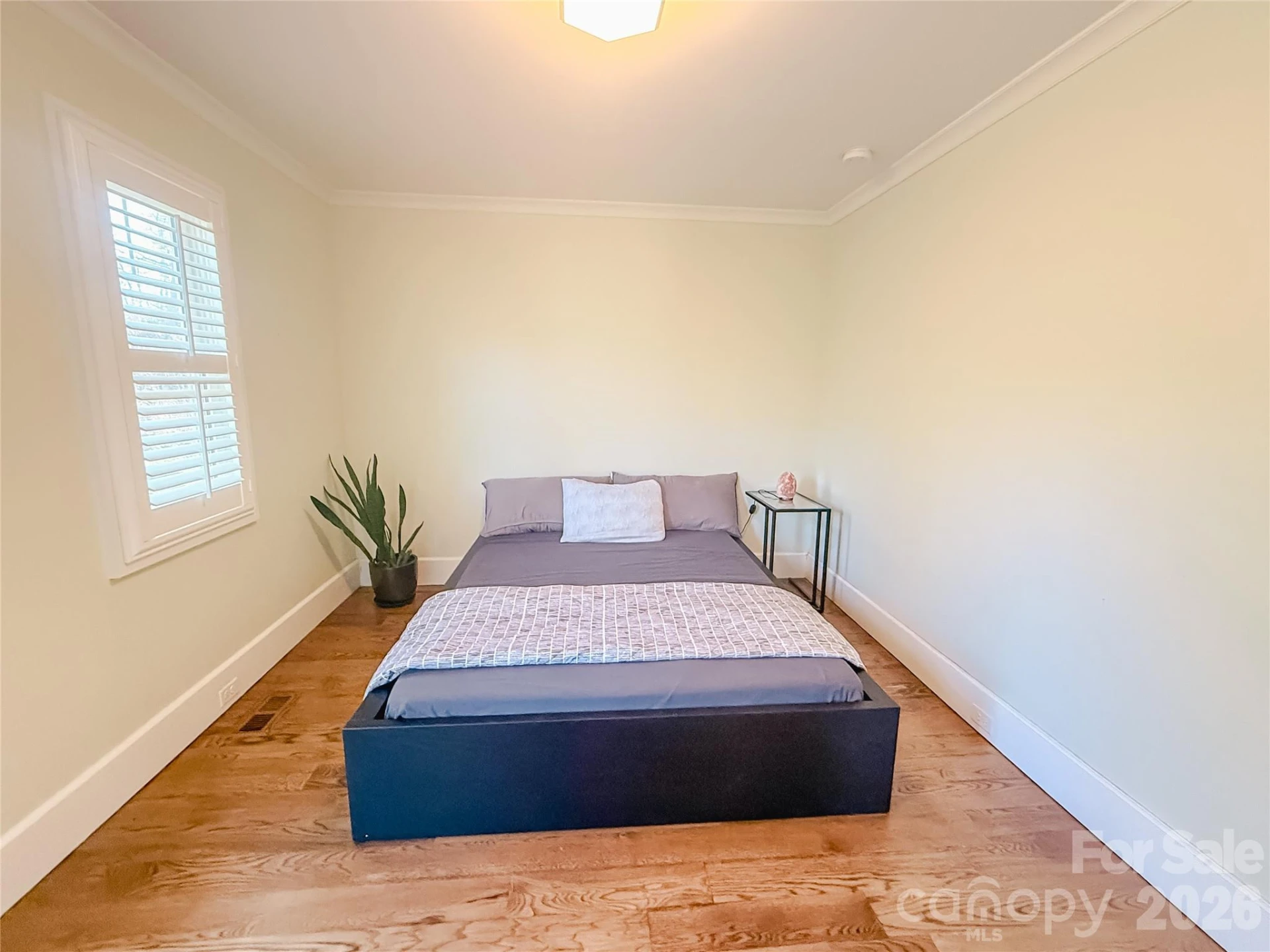 11 Lila Lane - Photo 19