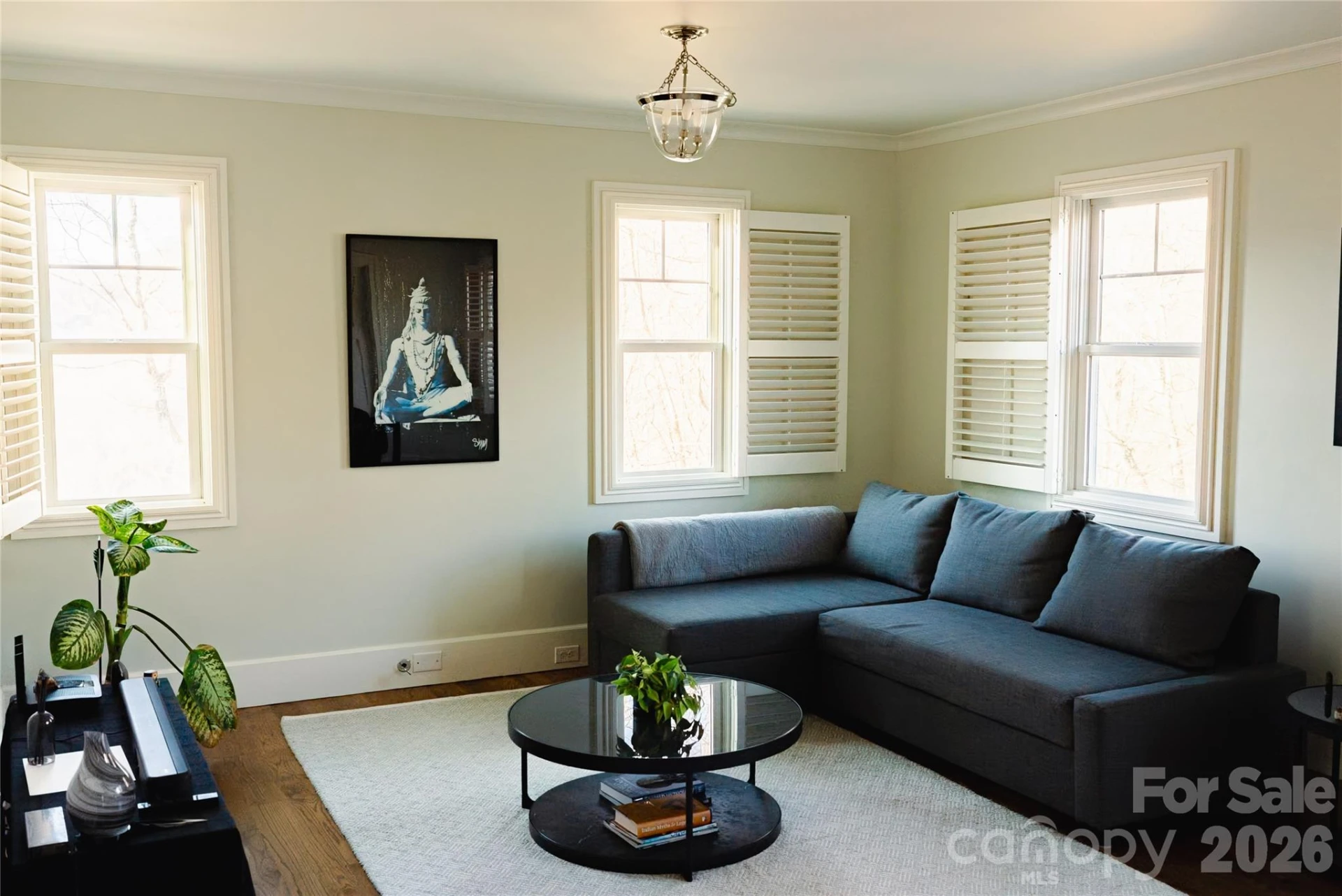 11 Lila Lane - Photo 7