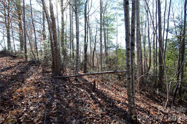 0 Wildwood Mountain Lane, Marion, NC, 28752