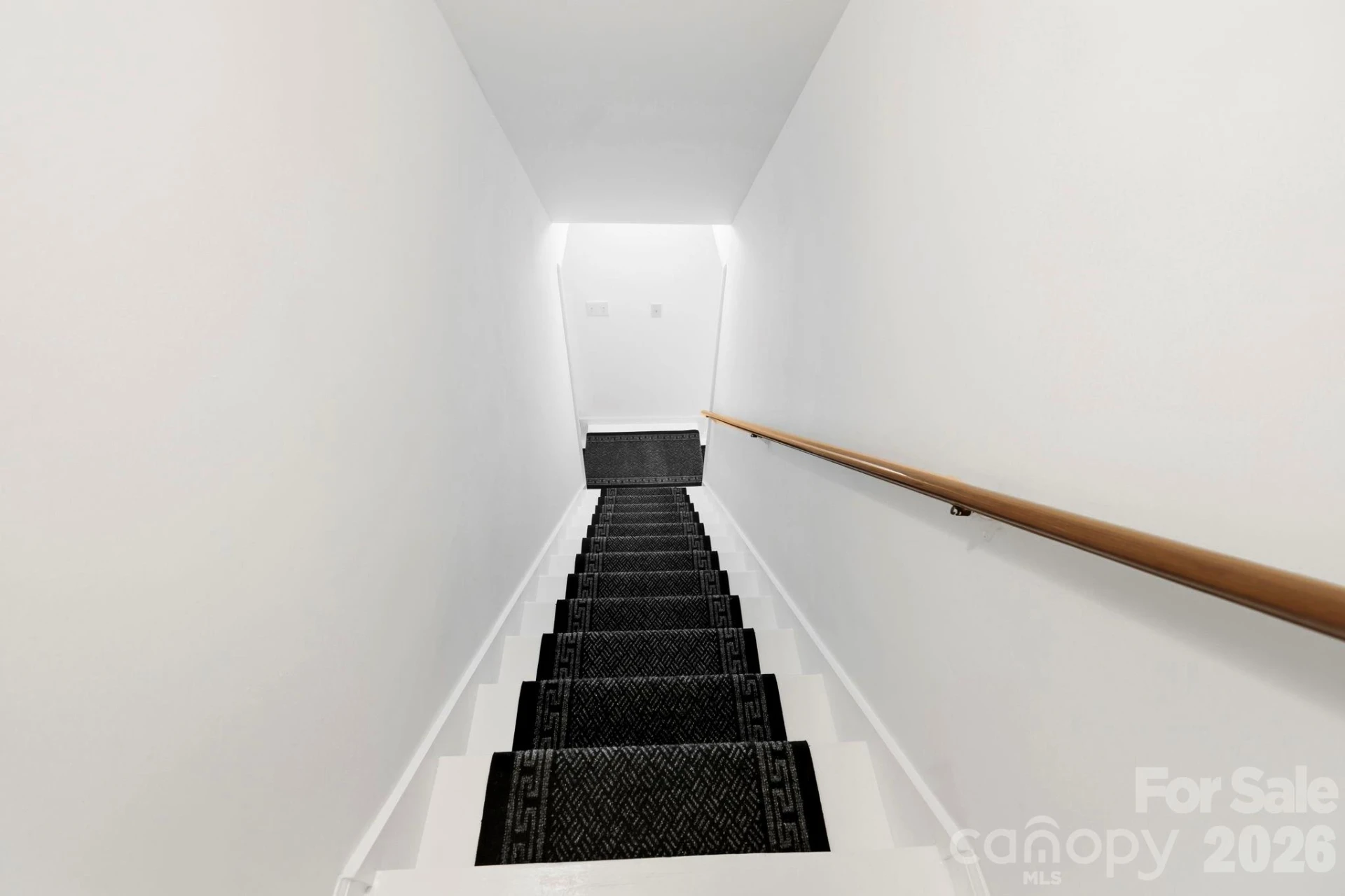 209 Mint Way - Photo 20