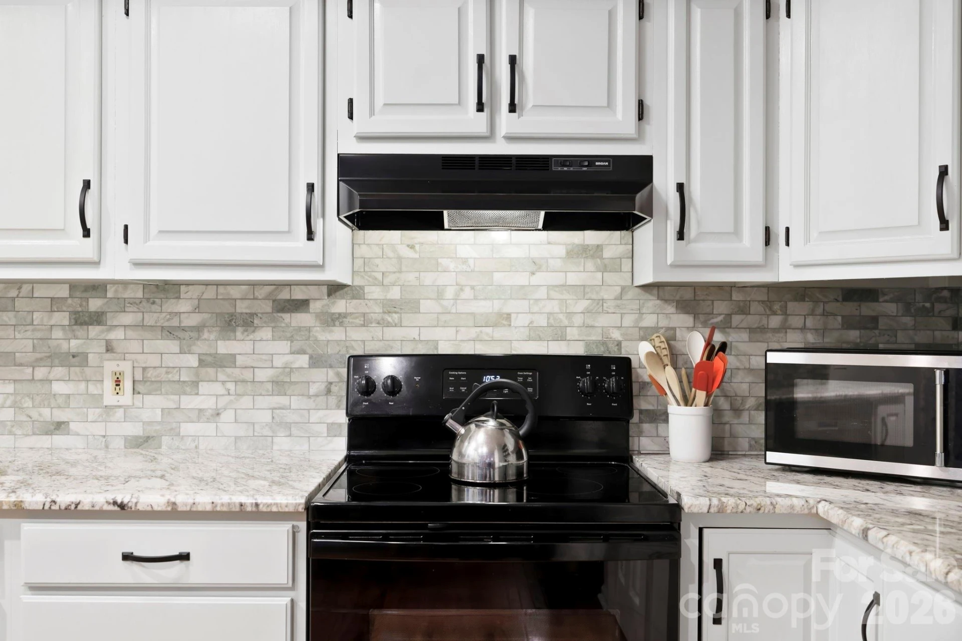 209 Mint Way - Photo 10